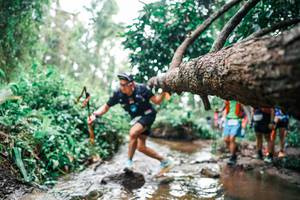 BIB: 
                            <button type="button" onclick="openModal(25375639)" class="btn btn-primary btn-sm float-right btn-popup" data-toggle="modal" data-target=".modal-high-quality">
                        <i class="fas fa-shopping-cart"></i> Add to Cart
                    </button>
                                            <button type="button" onclick="isThisMe(25375639, true)" class="btn btn-success btn-sm float-right btn-popup btn-isme hidden" data-toggle="tooltip" data-placement="bottom" title="นี่คือรูปของคุณใช่ไหม คลิกที่นี่เพื่อเอาเข้าอัลบั้ม">
                        <i class="fas fa-plus"></i> Add to album
                    </button>
                    <button type="button" onclick="isThisMe(25375639, false)" class="btn btn-warning btn-sm float-right btn-popup btn-isnotme hidden">
                        <i class="fas fa-ban"></i> Remove from album
                    </button>